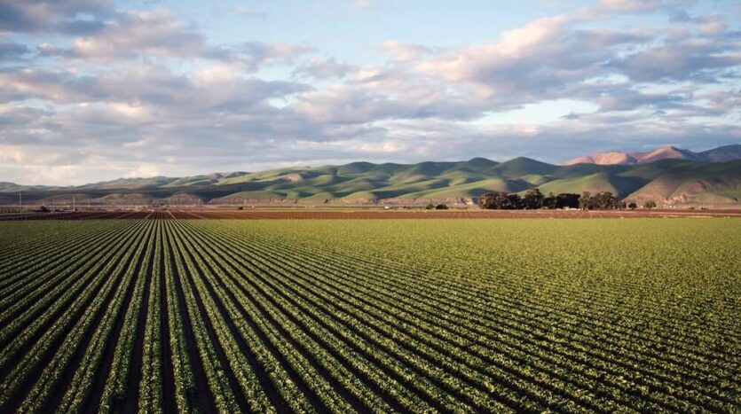 Montana View Ranch