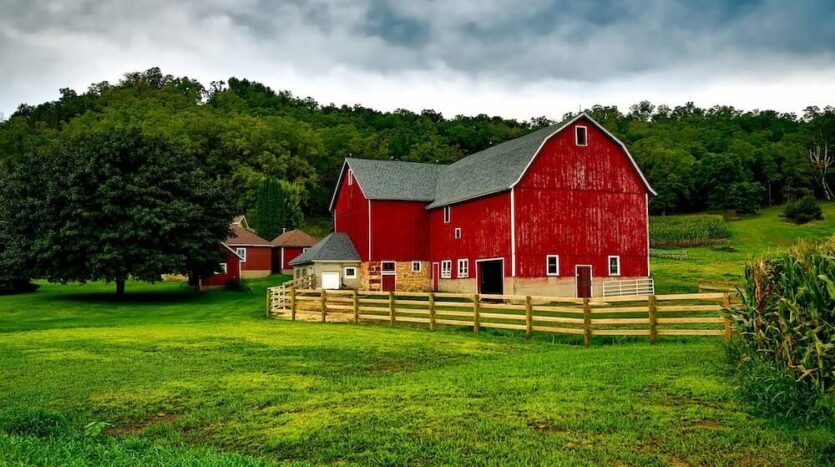 Montana View Ranch