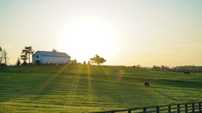 Montana View Ranch