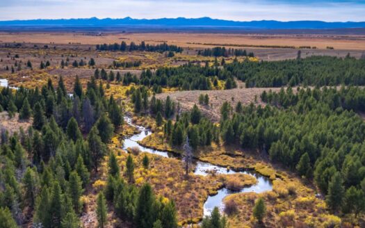 Arrow Ranch Montana